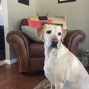 Meet your Posher, Kris